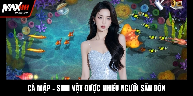 Cá mập - Sinh vật được nhiều người săn đón
