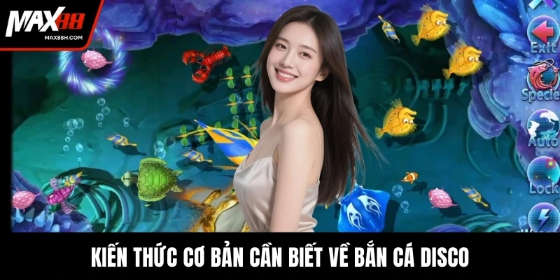 Kiến thức cơ bản cần biết về bắn cá Disco