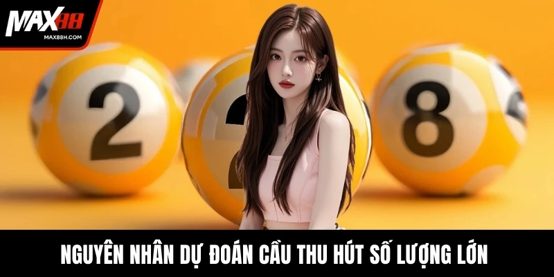 Nguyên nhân dự đoán cầu thu hút số lượng lớn